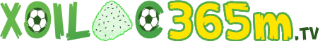 Lịch Sử Tìm Kiếm Google - giamsat.sctv